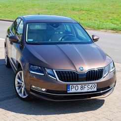 Octavia - praktyczny liftback i elegancja limuzyny