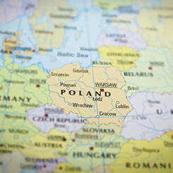 50 polskich bran skazanych na sukces za granic