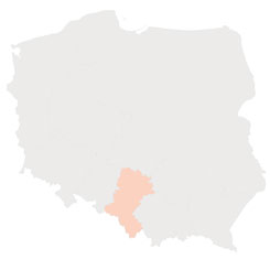 Firmy chc inwestowa