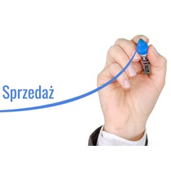 Handlowiec idealny